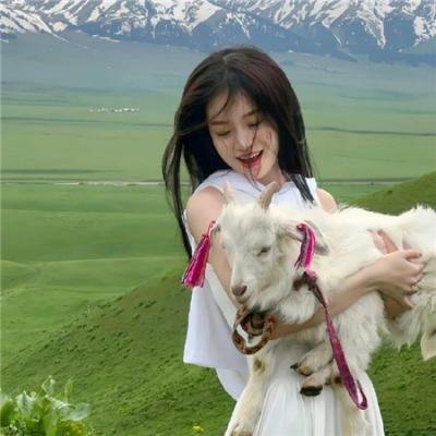 围城13天：阿拉莫战役